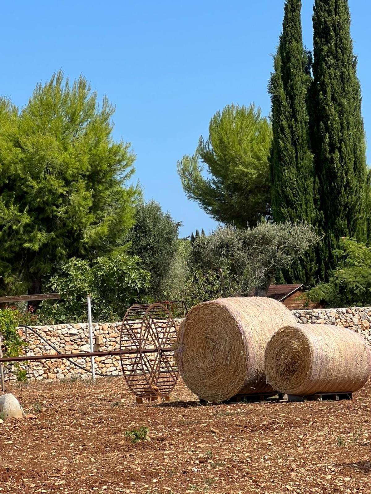 Dimora Caraspi Bed & Breakfast